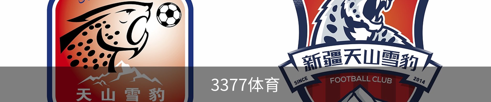 3377体育